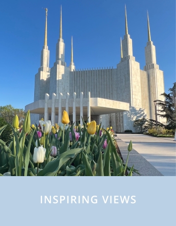 washington dc temple virtual tour