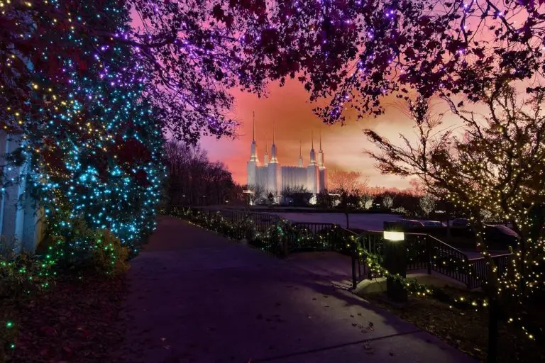 The Washington DC Temple seen at sunset during the Festival of Lights. Trees covered in Christmas lights of magenta, cyan, and yellow, surround the frame, with the temple visible in the middle of the frame.