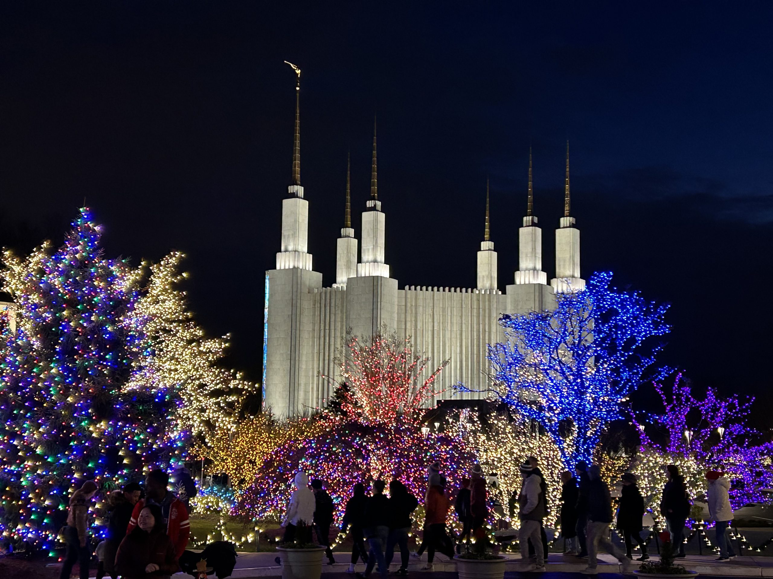 Festival of Lights 2024 DC Temple Visitors' Center