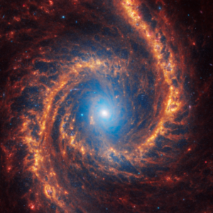 Face-On Spiral Galaxy NGC 1566