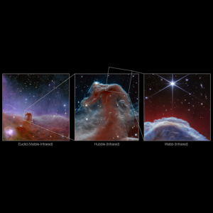 Horsehead Nebula (Euclid, Hubble and Webb Images)