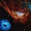 Cosmic Reef