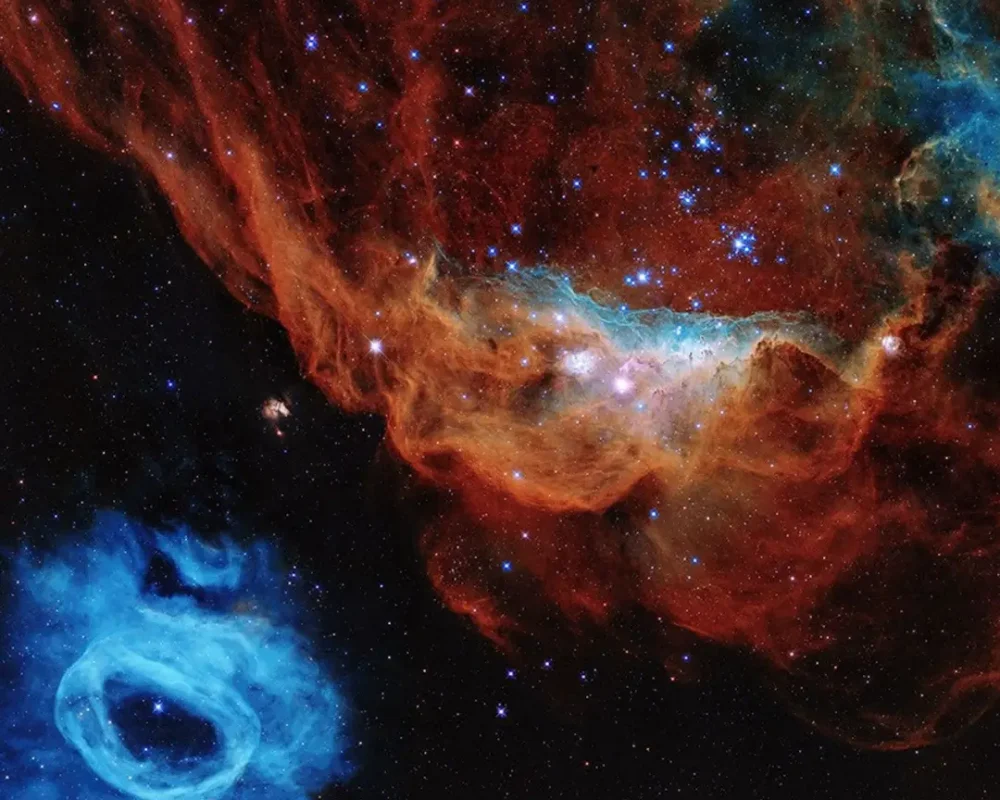 Cosmic Reef