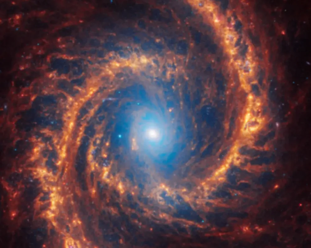 正面螺旋星系 NGC 1566