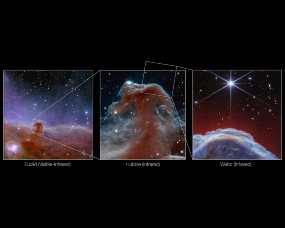 Horsehead Nebula (Euclid, Hubble and Webb Images)