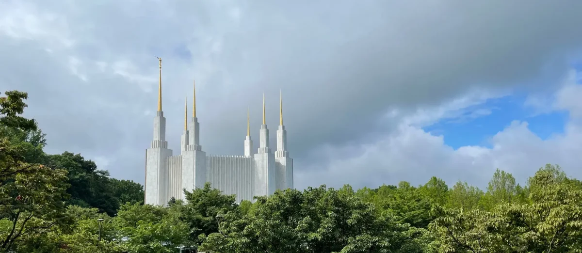 Templo de Washington DC da Treeline (6)