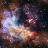 Westerlund 2